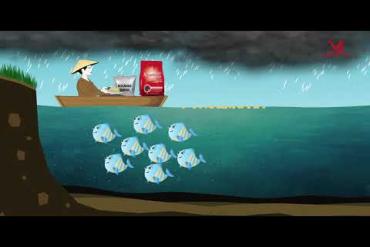 VIBOZYME New – Digestive Enzymes for Fish – Faster Feed Digestion