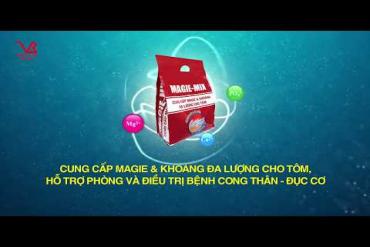 MAGIE-MIX - SHRIMP PREVENTION AND TREATMENT SUPPORT