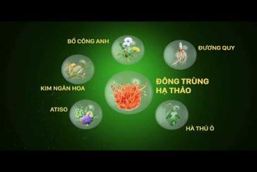 LIVERMIN pro - NATURAL HEBRS, REGENERATIVE LIVER CELLS