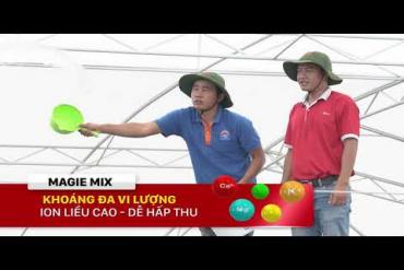 MAGIE MIX - SURVIVAL MINERAL, HELP FAST SHRIMP HOLDER