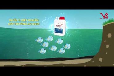 BIOX-PRO - Inhibiting pathogenic bacteria - Strengthen immune system to fish gut