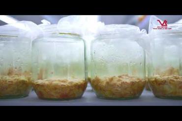  82/5000 LIVERMIN pro - NATURAL PHARMACEUTICAL SUBSTANCE, COASTAL REFRIGERATION, GLOBAL PINK CREAM