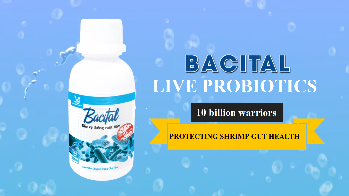 BACITAL - 10 BILLION BONUS - SHRIMP PROTECTION
