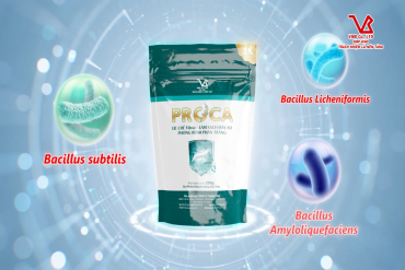 PROCA 2X – Antagonistic Probiotic Solution for Vibrio Control in Shrimp Ponds