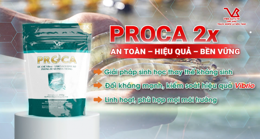 PROCA 2X - ỨNG DỤNG ĐƠN GIẢN VÀ HIỆU QUẢ TRONG KIỂM SOÁT VIBRIO AO NUÔI