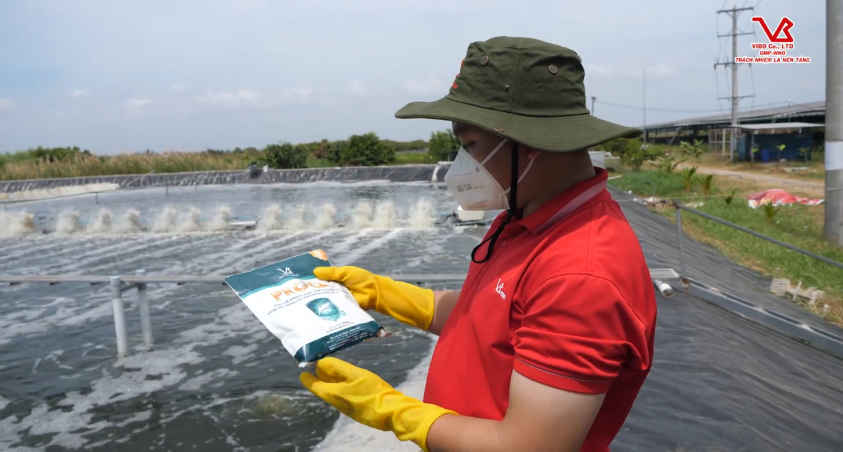 QUY TRÌNH PHÒNG TRỊ BỆNH TÔM THỦY TINH (TPD) TRÊN TÔM