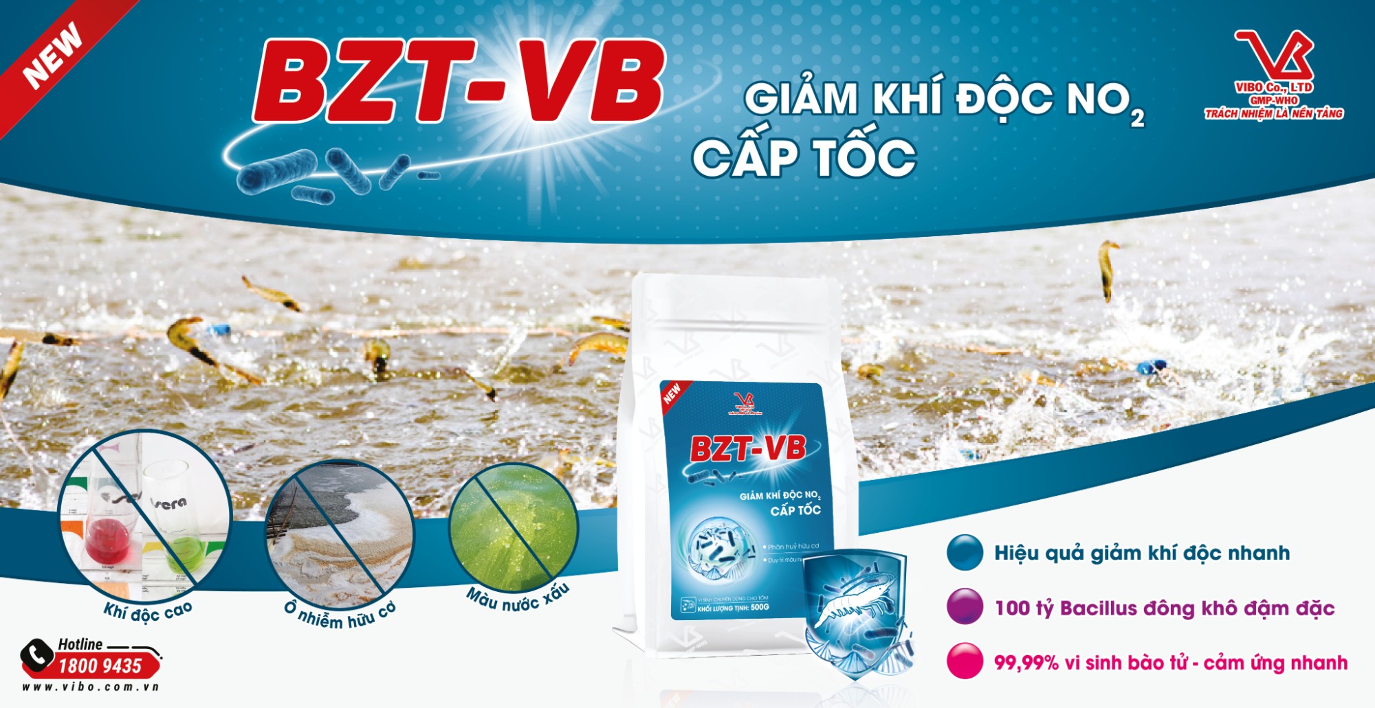 BZT-VB New