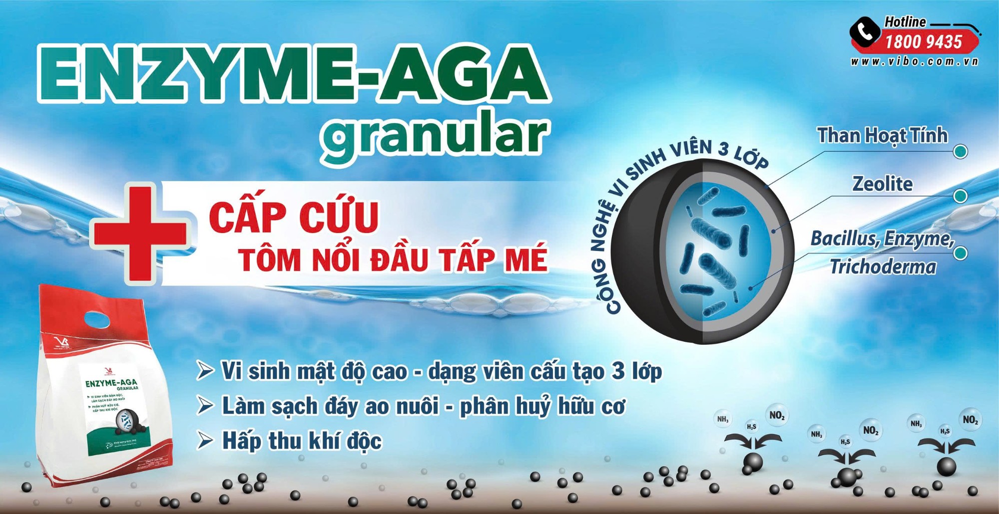 ENZYME-AGA granular - Vi sinh viên 3 lớp chuyên gia xử lý đáy