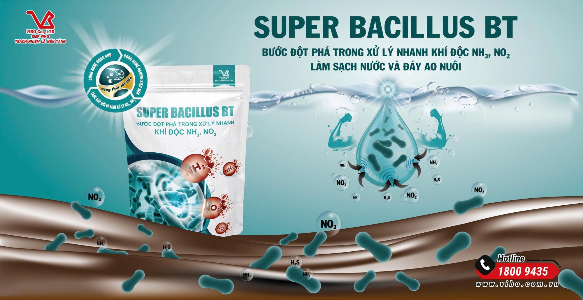 SUPER BACILLUS BT - Vi sinh xử lý khí độc cấp tốc