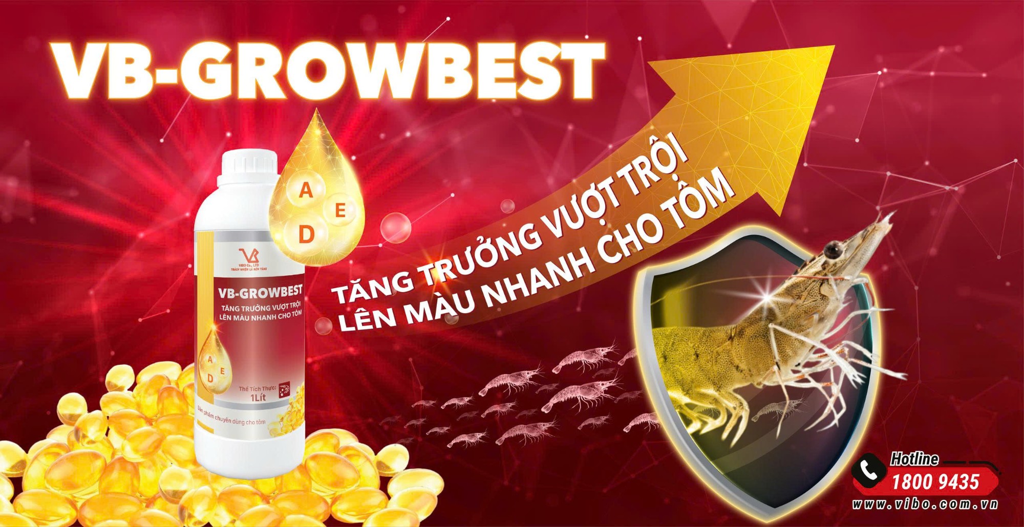 VB-GROWBEST Tăng trọng cấp tốc