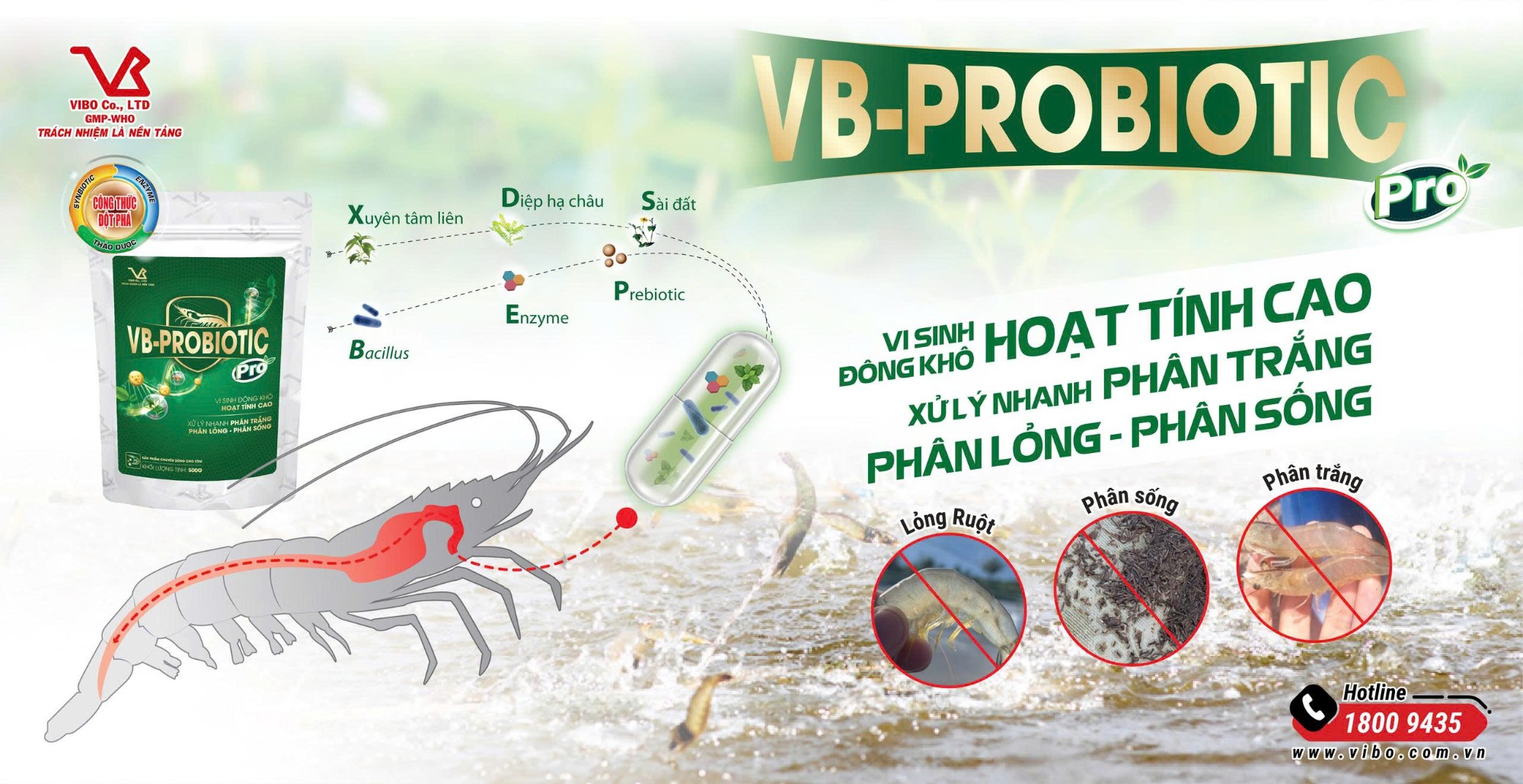 VB-PROBIOTIC pro