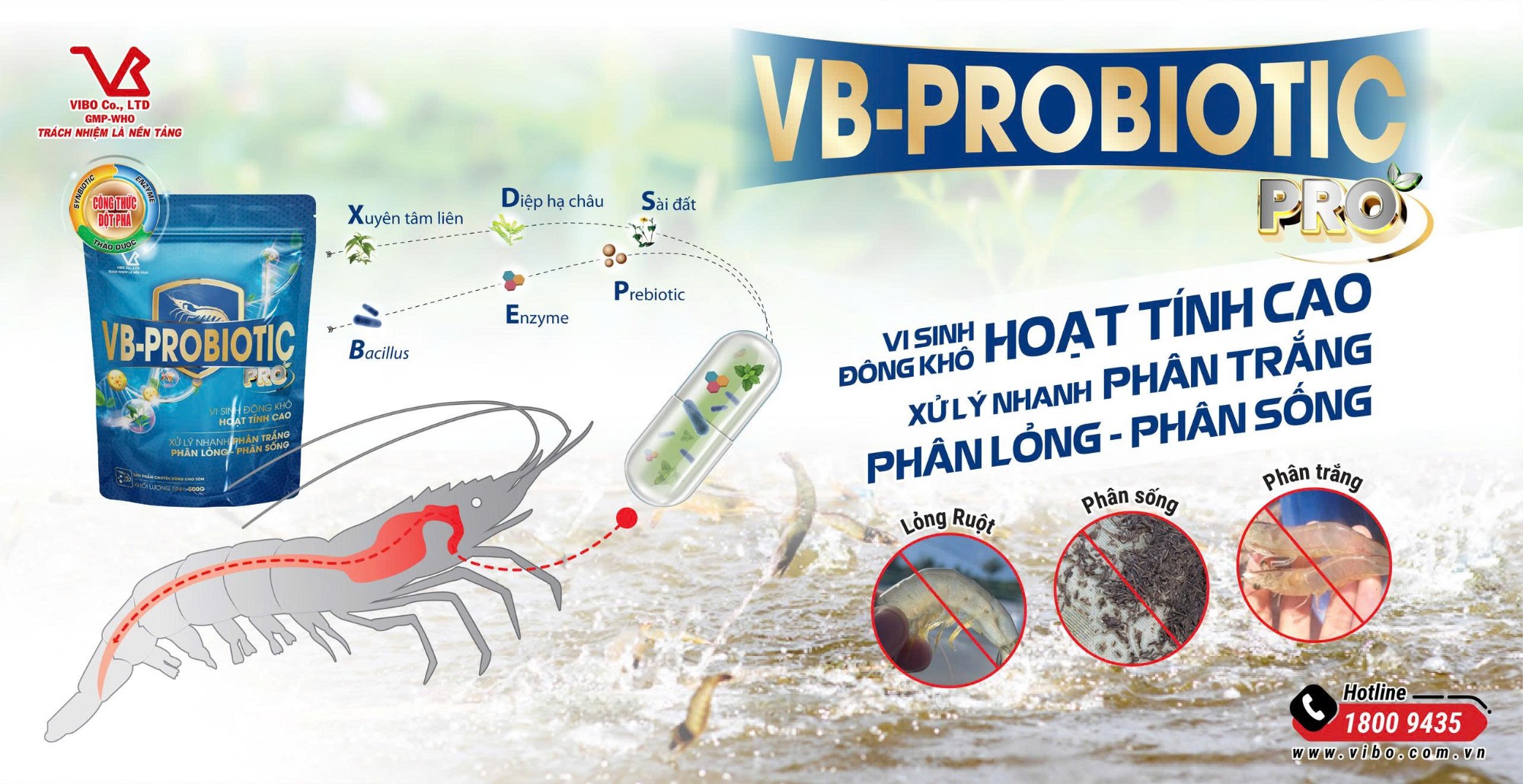 VB-PROBIOTIC pro