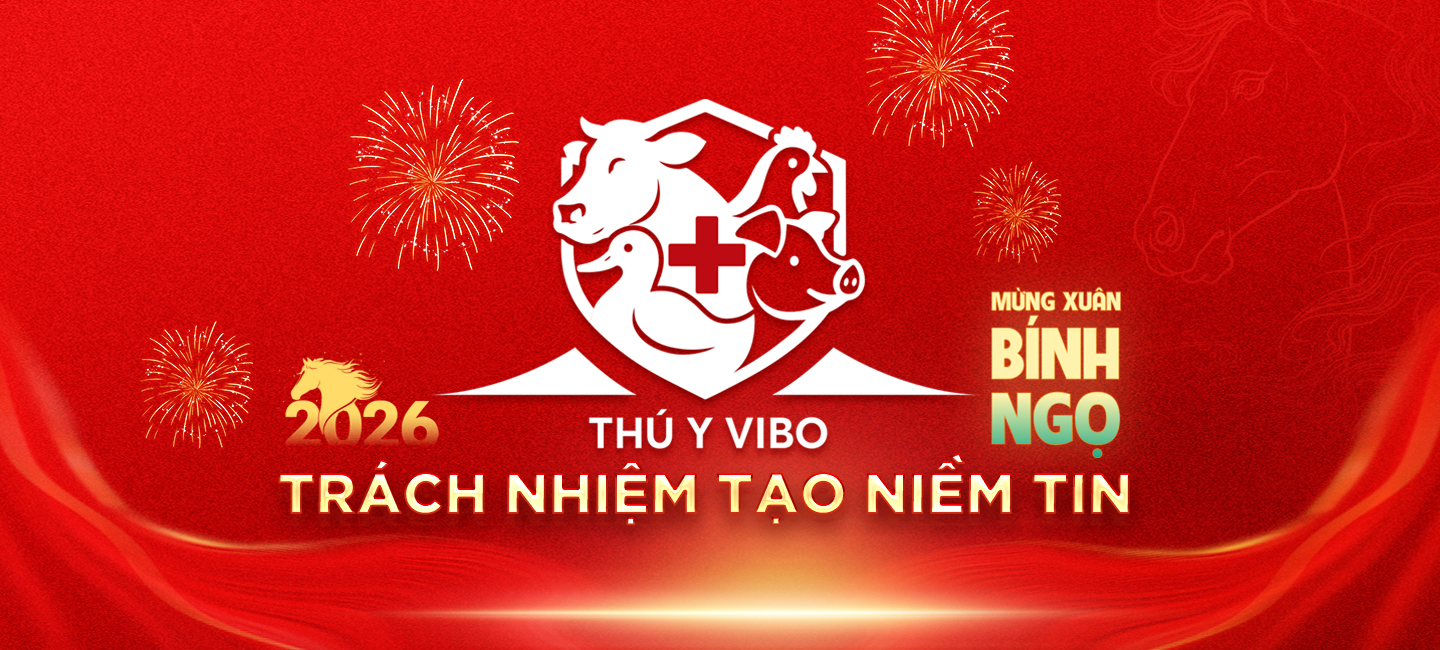 MỪNG XUÂN BÍNH NGỌ 2026