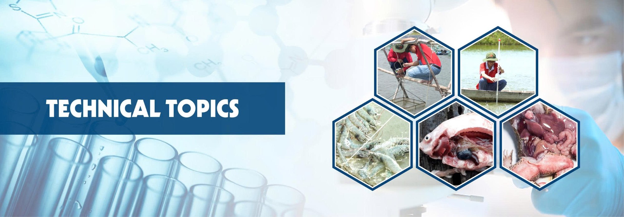 Chuyên đề kỹ thuật